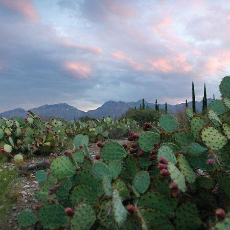 Canyon Ranch Tucson Mount Lemmont Kültér fotó