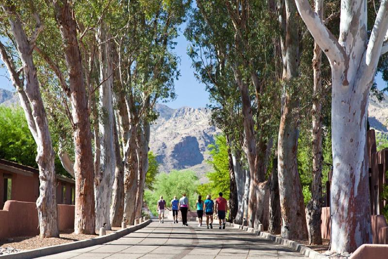 Canyon Ranch Tucson Mount Lemmont Kültér fotó