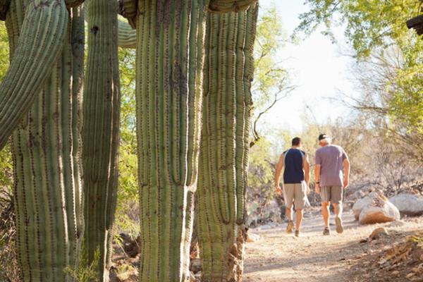 Canyon Ranch Tucson Mount Lemmont Kültér fotó
