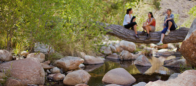 Canyon Ranch Tucson Mount Lemmont Kültér fotó